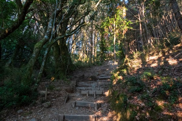 雪山東峰單日往返539563