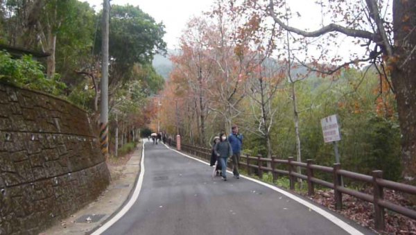 「角板尋梅」為桃園八景之一～角板山公園1238893