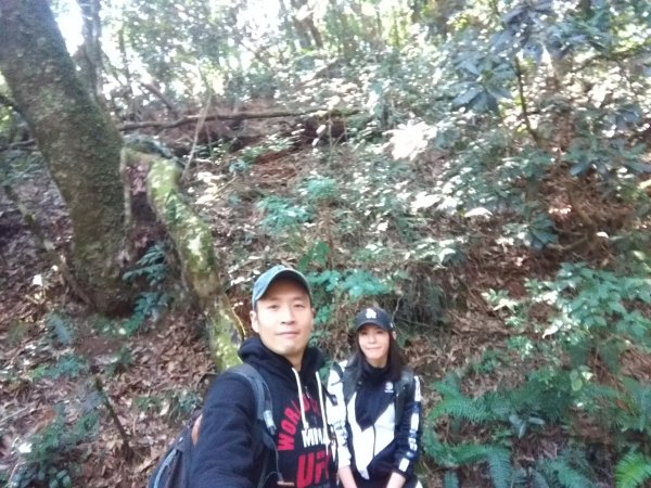 鳶嘴山 David & Rebecca1410356