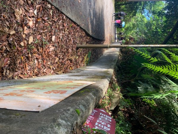 聖母山莊步道(抹茶山)山角崙山1057730