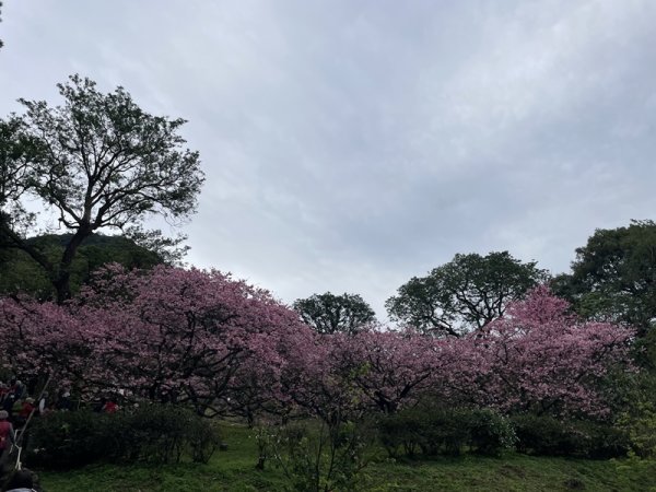 山仔頂步道2708421