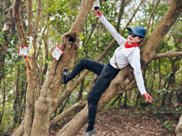 東勢大崙、東勢坑山、觀音湖山O走2986275