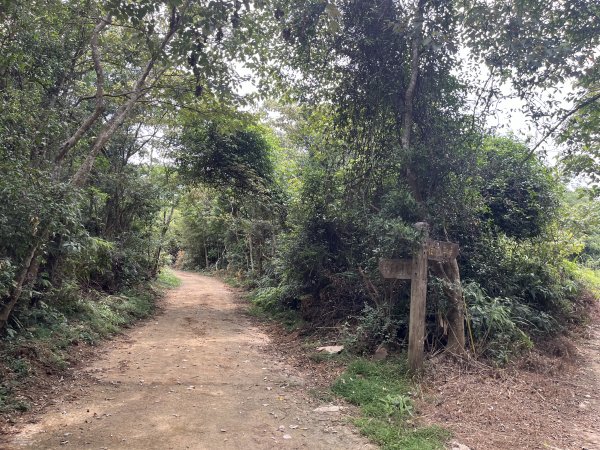 [皮皮獅探險隊-05/10] 2025_0706 石光古道2831856