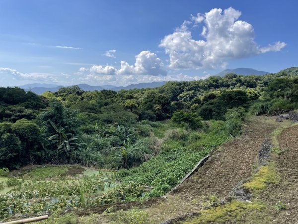 阿里磅,青山瀑布連走百年梯田2549087