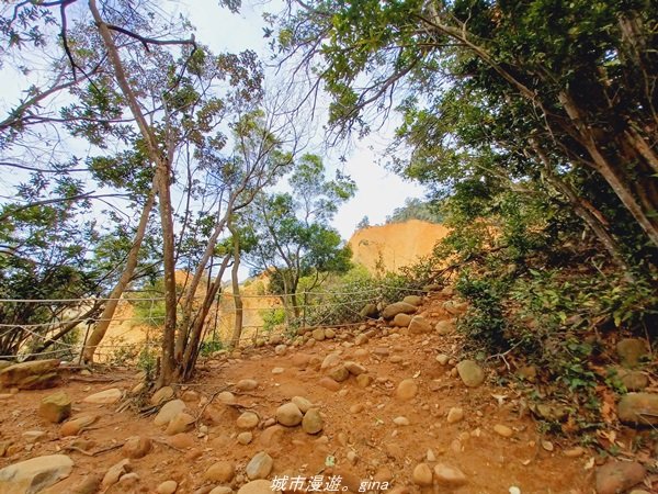 【苗栗。 三義】台灣百大必訪步道。 編號38小百岳-火炎山步道1572262