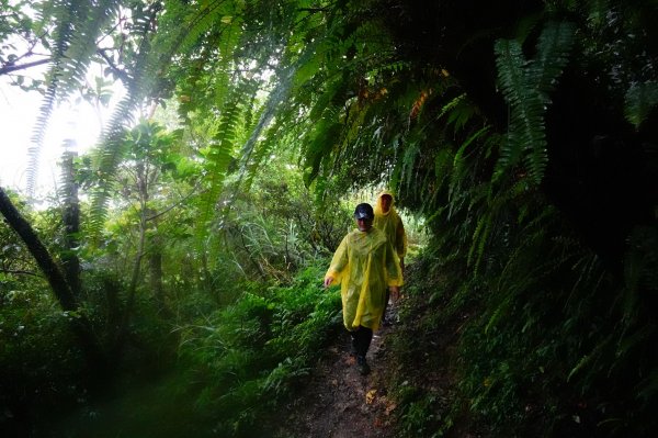 淡蘭古道中路O型988523