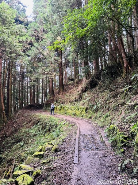 特富野古道2846018