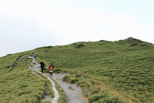 合歡北峰、小溪營地｜新手試煉場、老手耍廢975513