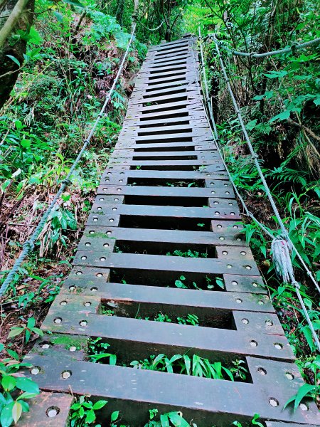 獅仔頭山隘勇線、獅仔頭三角點、串粽尖三角點、獅腰古道 O 型封面