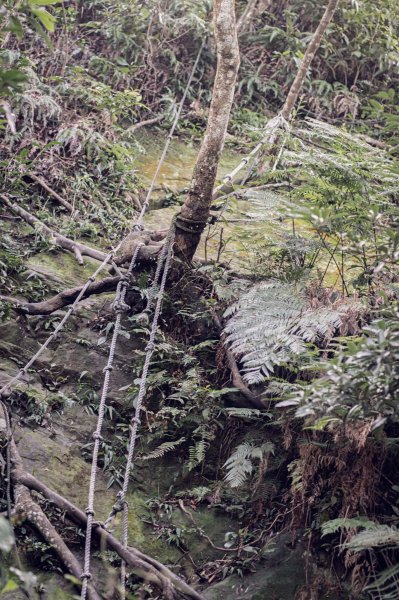 鳥嘴含煙-桃園大溪金面山1463109