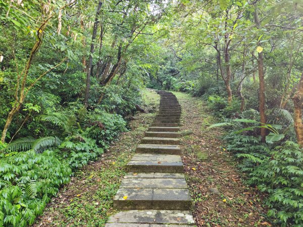 小百岳No.10⛰五分山2883140