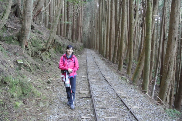 特富野古道+梯子板山25528