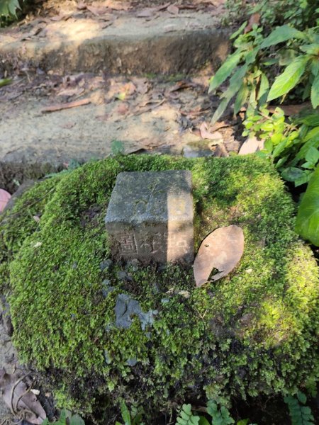 微笑山線：【二格山系】筆架連峰段2963175