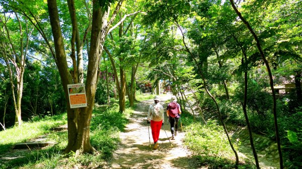 三汀山,苗圃,蝙蝠洞2787365