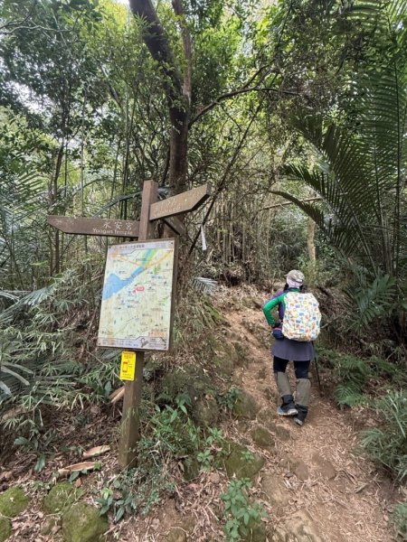 微笑山⛰️線-大棟-二格山-五分山-天上山-鳶山💎12條步道完成💙2841395