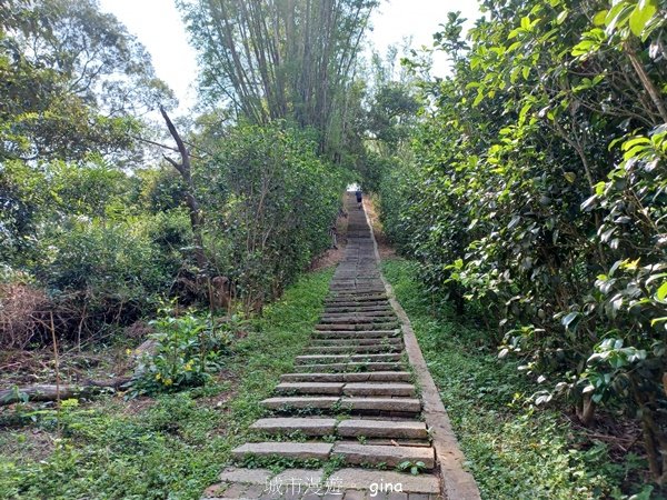 【苗栗造橋】適合親子悠閒踏青。劍潭古道2533441