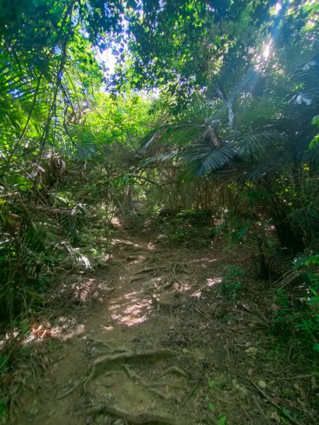 高雄柴山~一簾幽夢/泰國谷/雅座2191582