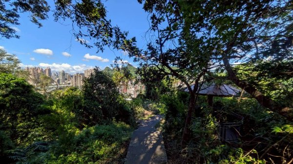 114.08.16和美山之微笑山線2864971