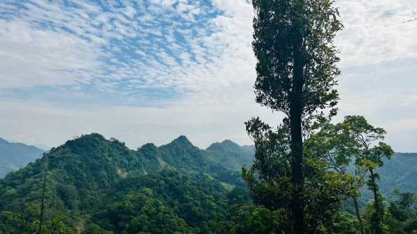 1140419鳴鳳古道2765878