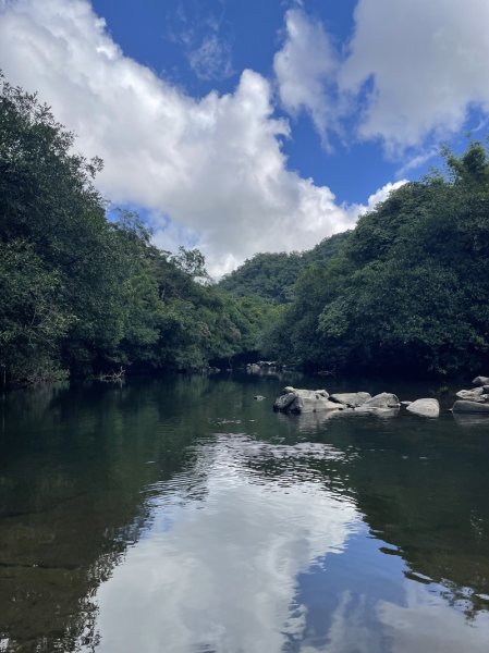 南北豹子廚山2925458