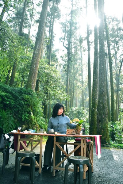 2026.02.07~02.08阿里山健行 & 阿里山石棹森林茶席(嘉義/登山/JRJ紀錄分3010637