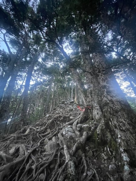 一日 南湖大山 2024 07/142552682