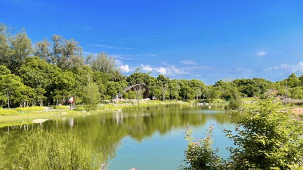 大湳森林公園2817296