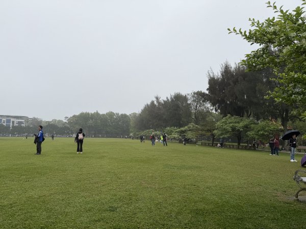 [樟之細路_第一大段RSA03] 2026_0329 石園3027047