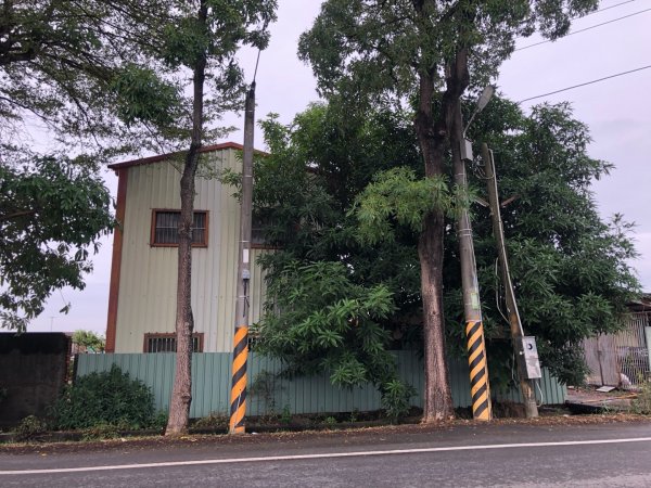 台南市六甲、官田、麻豆、將軍土地調查局圖根點。六甲、番子田、寮子廓、新豹尾（末尋得）、過港子1634806