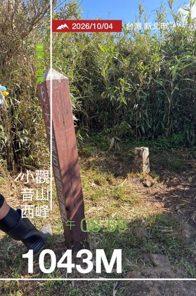 小觀音西峰 二子坪步道 小油坑山3129479