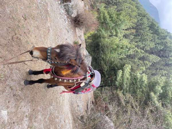 尼泊爾聖母峰EBC基地營❤️風景篇2790970