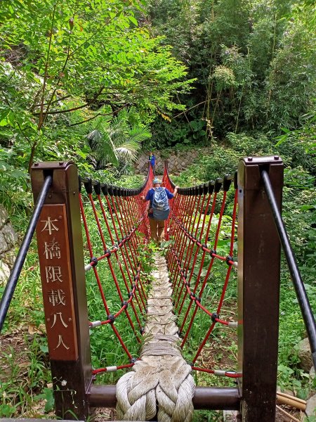 《百走不厭的猴洞產業道路、半嶺吊橋、半嶺步道、橫嶺古道、湖山綠地、前山公園》1460407