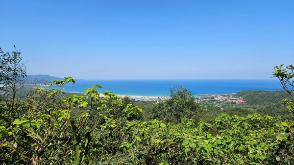 20250322遠望坑古道-龜媽坑古道中線-虎子山古道2743266