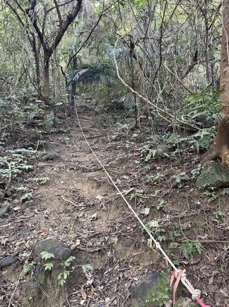 月扇湖大岩壁2952409