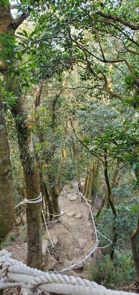 一日2座小百岳仙山、關刀山外加獅潭仙草秘境2082393