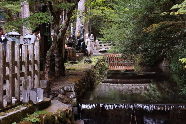 高野参詣道：不動坂に始まり祈りは奥の院へ2923240