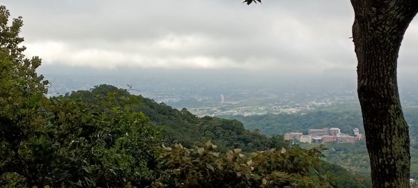 20231112_飛鳳山+觀日坪古道(含中坑山+石壁潭山)2344943