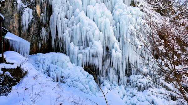 地心年輪之飛驒大鐘乳石洞2982450