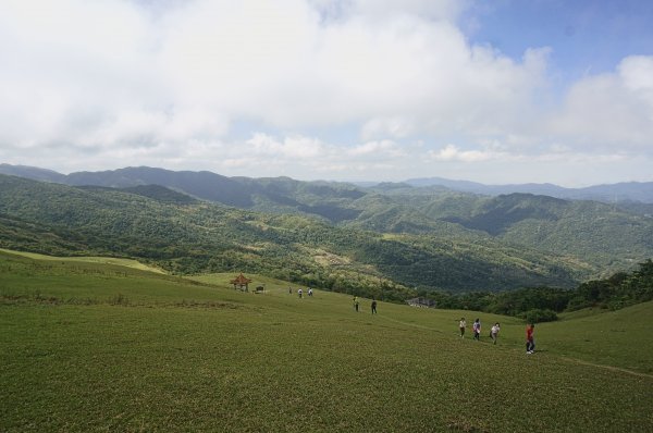 灣坑頭山 桃源谷步道 連走2034757