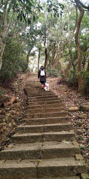 毘廬禪寺步道2010944