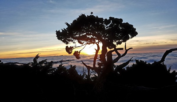 2017/12/15 嘉明湖冰天雪地243355