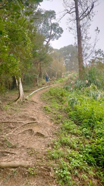 關刀山2645305