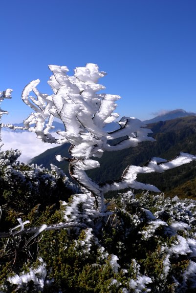 風雨雪中嘉明湖初登場1182260