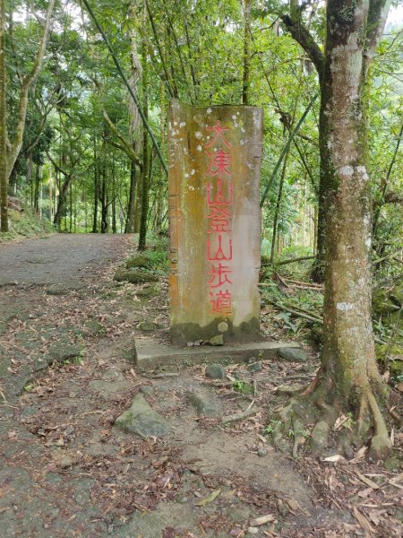 關子嶺運動+泡湯，雞籠山步道：台灣最大蜘蛛、黑端豹斑蝶、猴子、赤蛙、蜥蜴、山豬(只有聽到聲音)1708426