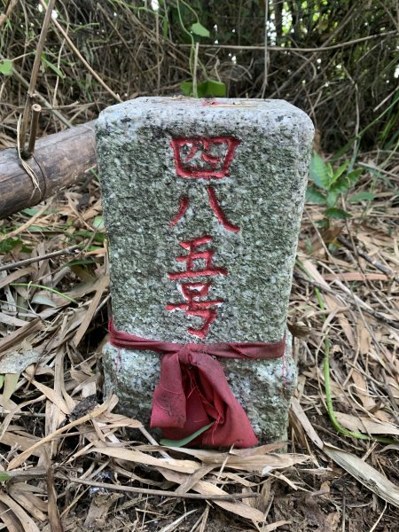 20250929台南草坪埔山-牛息山-竹腳湖山西北峰2899759