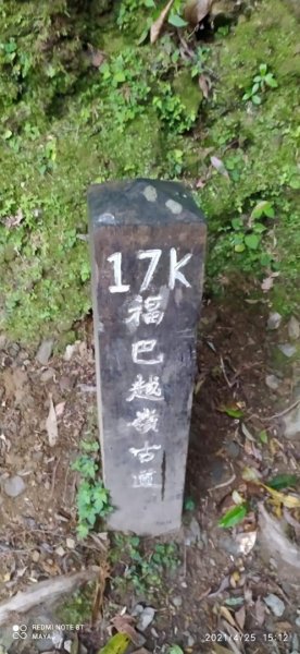 塔曼山越嶺達觀山連走拉拉山巨木群 - 神木巨木之旅1363264