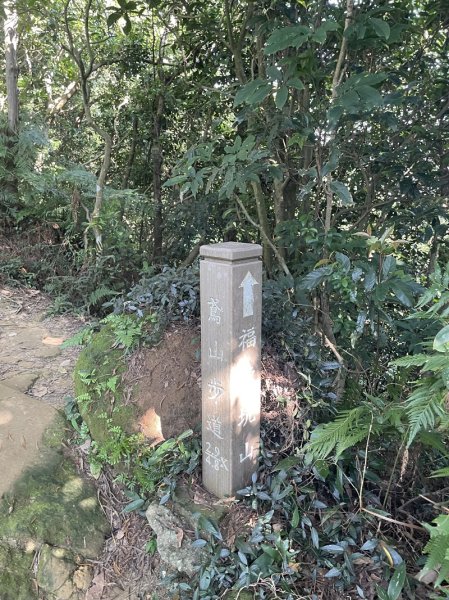 【鳶山山系】鳶山彩壁2858065