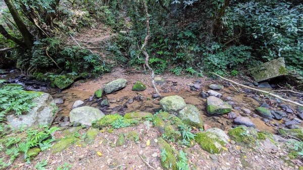 石笋古道,遇見雞母嶺2340716