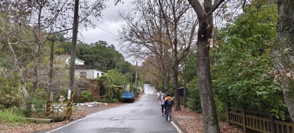 2026/02/01 十二寮古道2992747