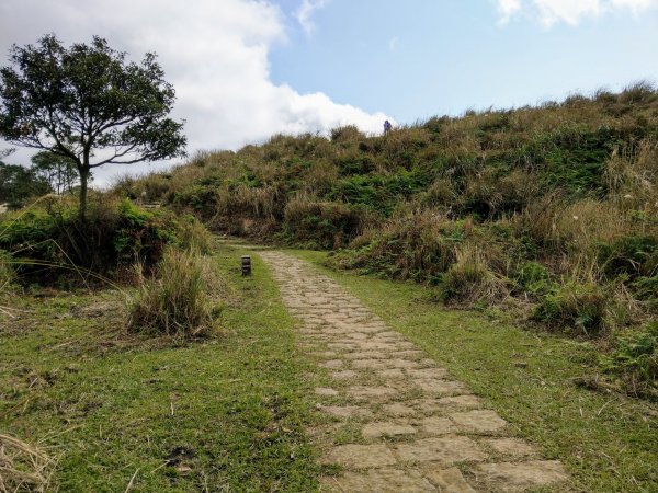 冷水坑-擎天崗環狀步道(竹嵩山)-風櫃嘴821049